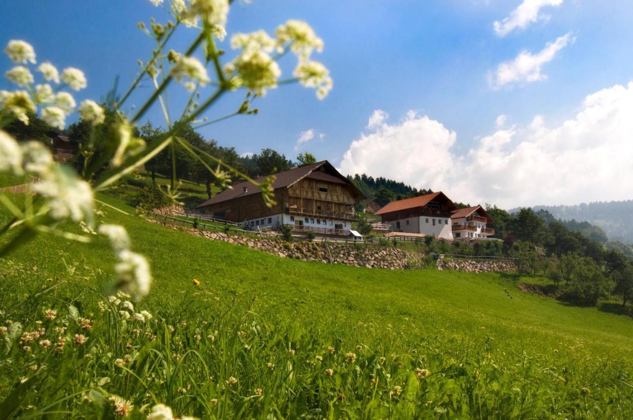麦尔迪娜Wargerhof - Urlaub Auf Dem Bauernhof公寓 外观 照片
